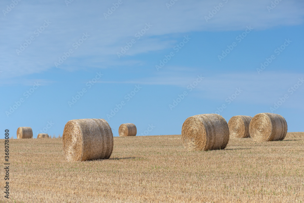 Bales on the field, big yellow round.