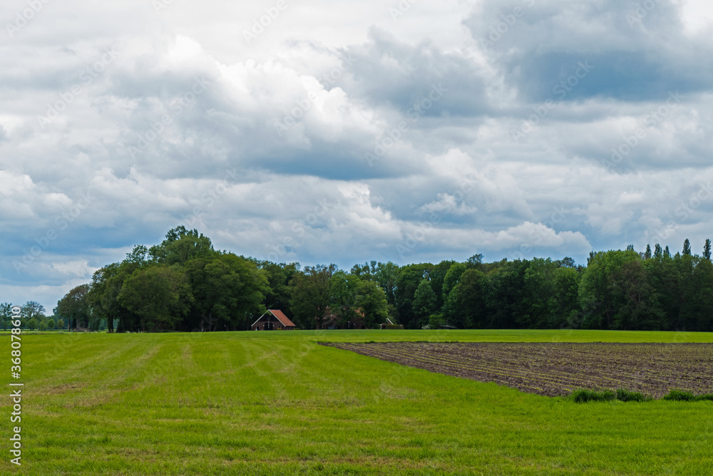 Rural landscape with young corn field and heavy clouds near Almelo, Netherlands
