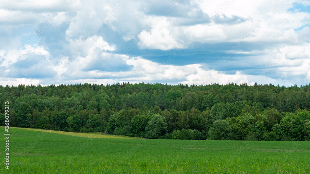 Photo displaying green pastures and a wood meadow on a slight incline in rural Sweden. Concept photo for landscape scenes and wallpaper backgrounds. Photo displaying green pastures and a wood meadow on a slight incline in rural Sweden. Concept photo for landscape scenes and wallpaper backgrounds.