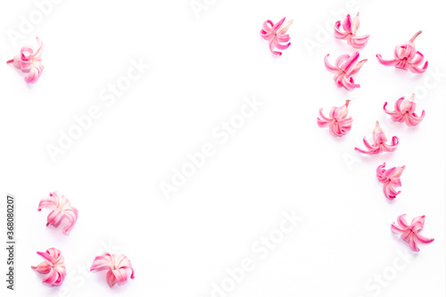 small pink hyacinth flowers isolated on white are scattered around the edge of the banner in the form of a frame. delicate floral background for advertising print banner layout wide horizontal format