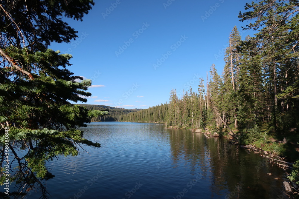 lake and forest lake and forest