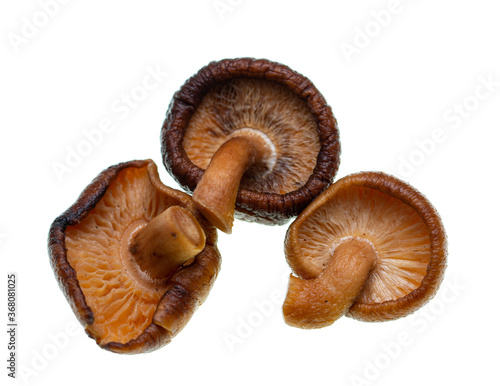 Shiitaki mushrooms on a white background