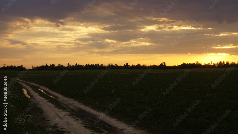 field road in the rays of sunset