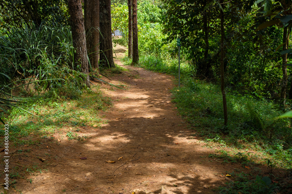 Fototapeta premium Dirt roads in the middle of the mountain