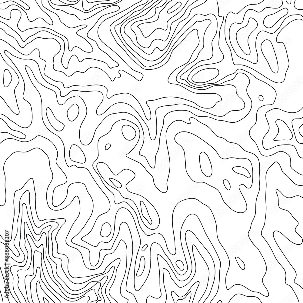 Topographic map, vector Topographic map, vector