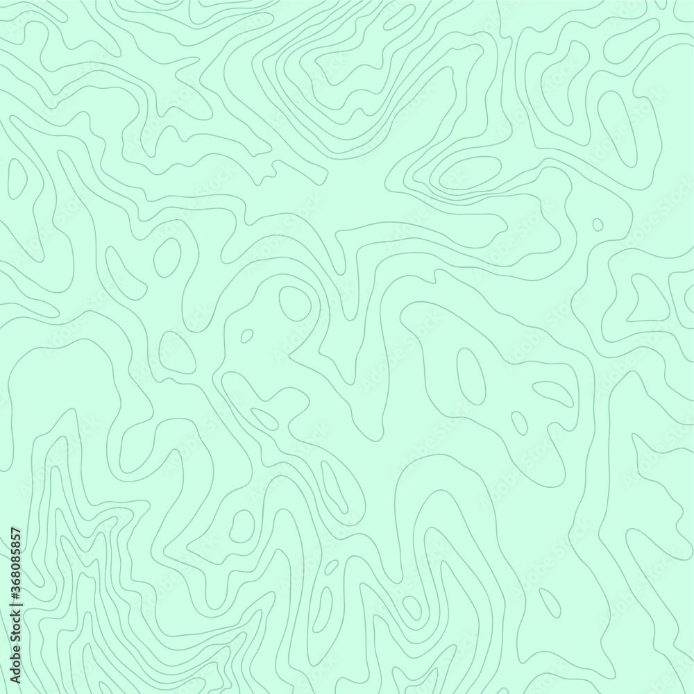 Topographic map, vector Topographic map, vector