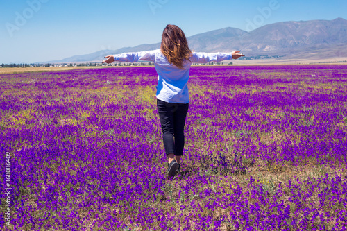 Fototapeta Naklejka Na Ścianę i Meble -  beautiful woman in violet flowers field
