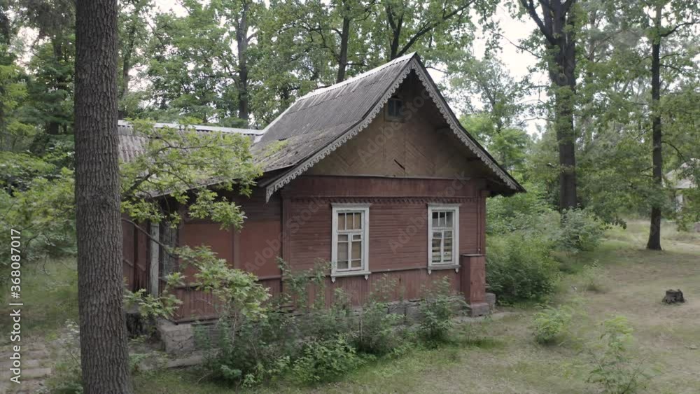Abandoned wooden house (timber house) in a green forest. Aerial low angle view Abandoned wooden house (timber house) in a green forest. Aerial low angle view