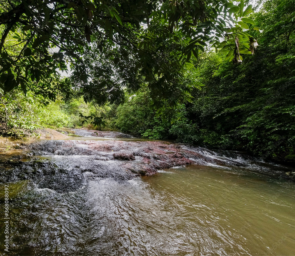 Fototapeta premium Rio Montaña Paisajes