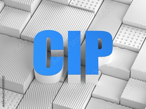 CIP acronym (Critical infrastructure protection)