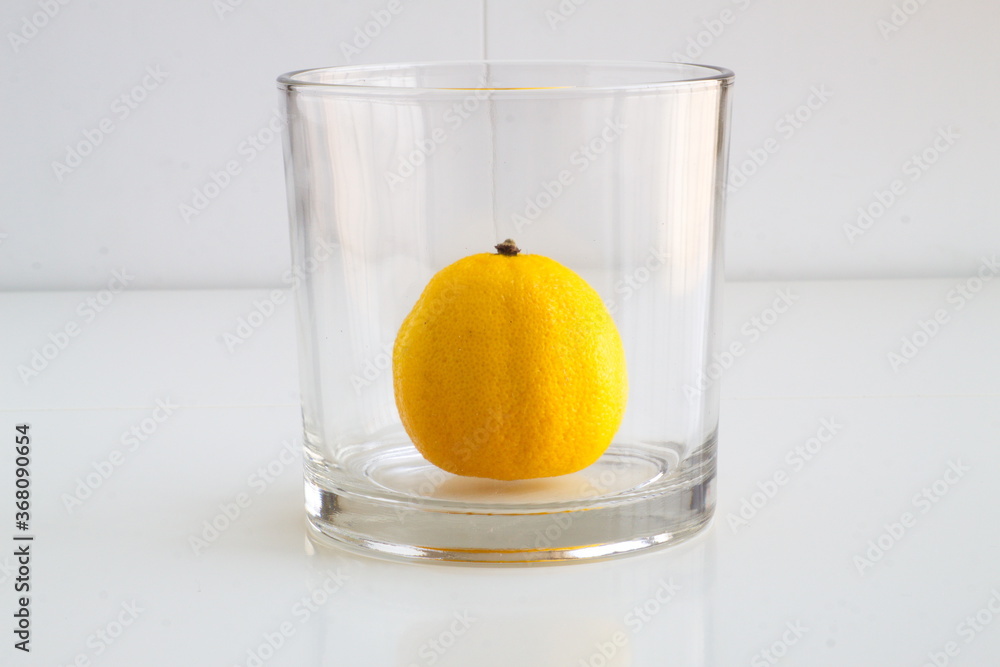 Lemon tree or lemon juice project. It depends how you see it