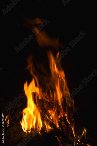 dark background bonfire from branches in the fireplace .