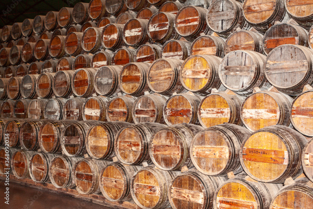 Wooden barrels in wine cellar Wooden barrels in wine cellar