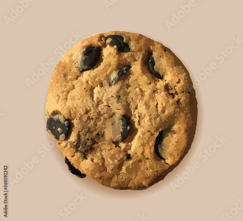 Realistic biscuit with chocolate, delicious dessert isolated, chocolate cookies vector illustration