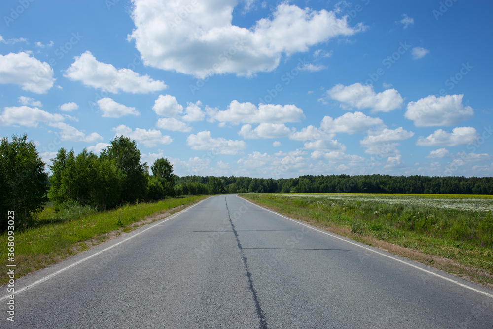 Country road at summer sunny beautiful day.