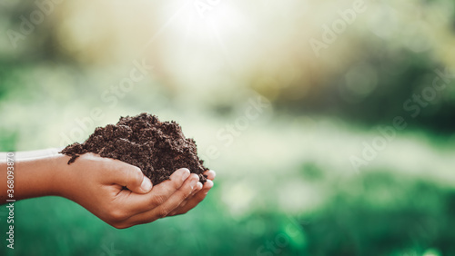 Hands of a child taking care of a seedling in the soil photo