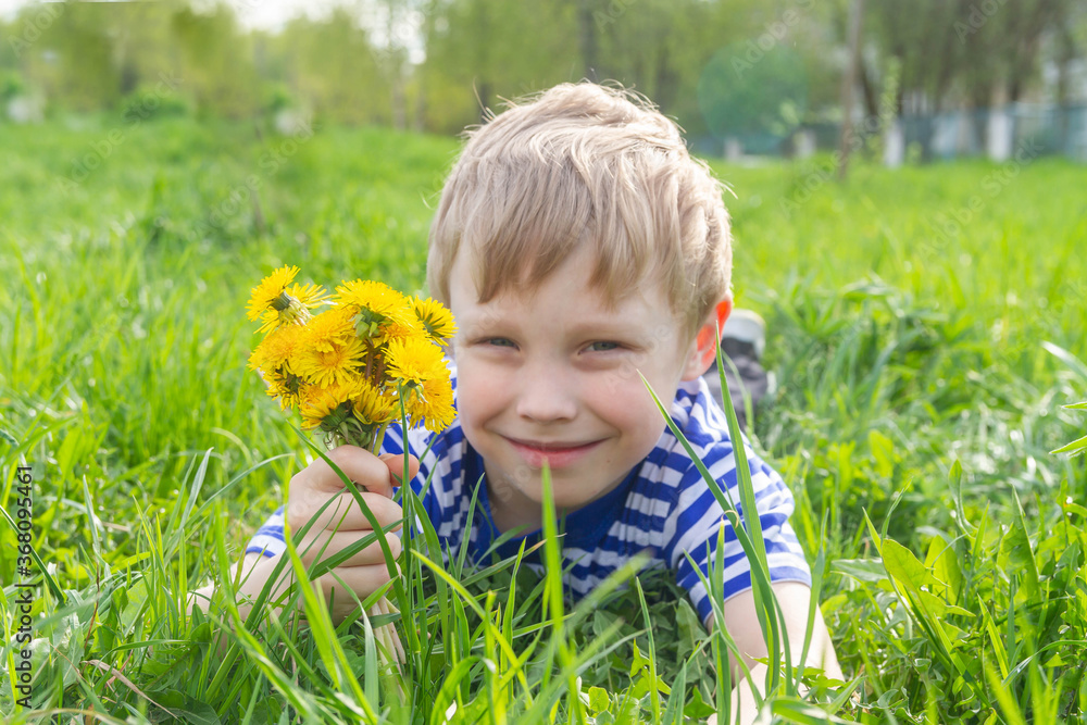 A blond European boy in a striped blue and white t-shirt is holding a bunch of yellow dandelions in his hand. The child is lying on the grass and smiling. A blond European boy in a striped blue and white t-shirt is holding a bunch of yellow dandelions in his hand. The child is lying on the grass and smiling.