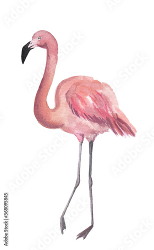 Watercolor pink flamingos on a white background. Illustration for print, posters, cards, scrapbooking and other types of design