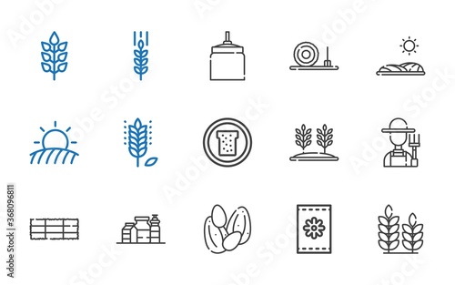 grain icons set