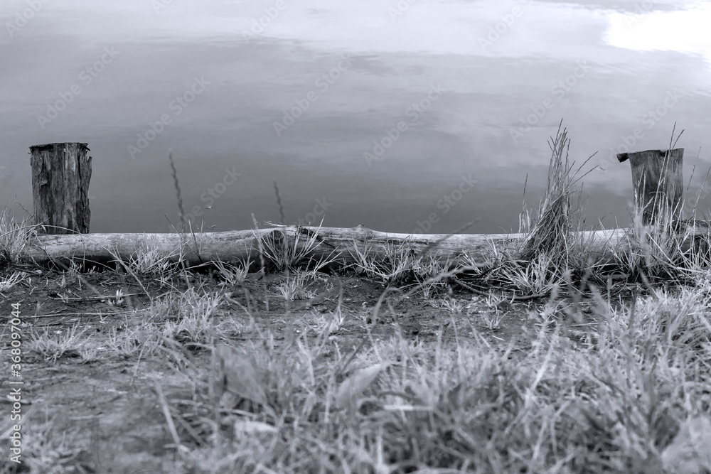 Horizontal black and white shot of tree trunk by the shore of the lake. Horizontal black and white shot of tree trunk by the shore of the lake.