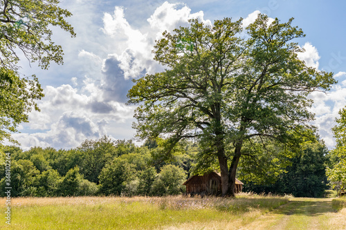 Barn in the Loire Valley Countryside - near Langeais - France