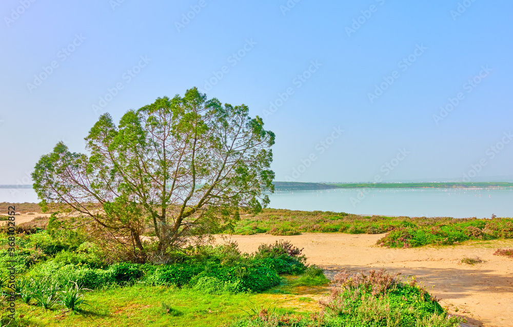 Obraz premium Salt Lake in Larnaka