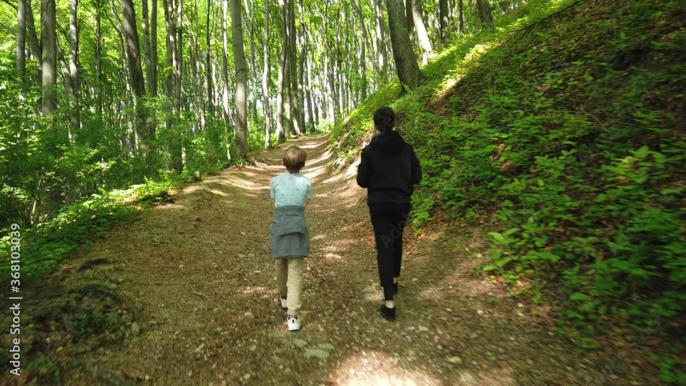 Brothers walk on the forest path. Brothers walk on the forest path.