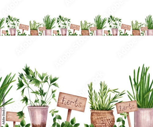 Provence herbs in watercolor