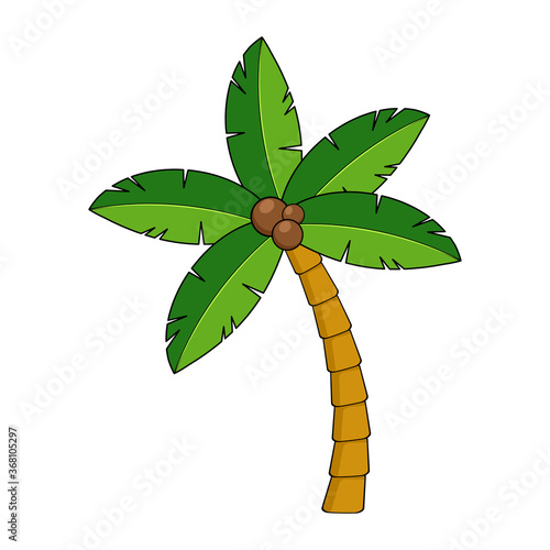 Coco palm cartoon isolated on white. Tropical palm tree clipart. Exotic coconut palmtree graphic for summertime poster or postcard. Shape of paradise vacation symbol. Vector cartoon illustration.
