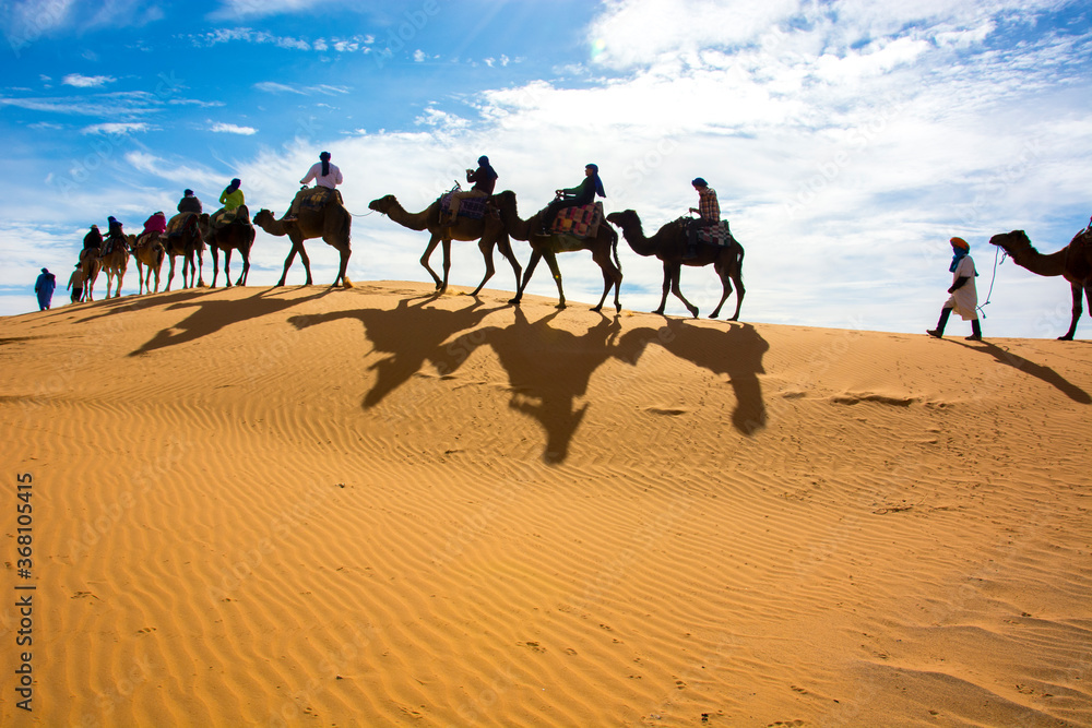 Camel rides in the Sahara Desert of Morocco, North Africa