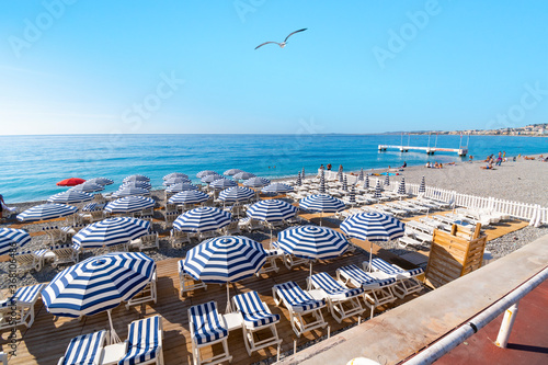 Bild auf Leinwand A seagull flies over the lounge chairs at a resort on the beach at the Bay of Angels, on the French Riviera in Nice, France