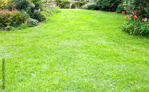 Green lawn background in the beautiful backyard garden landscape. 