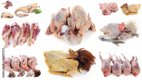 group of poultry meat photo