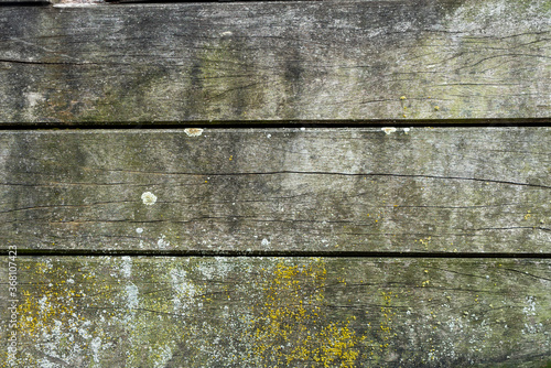 Wallpaper Mural Old wooden background Torontodigital.ca