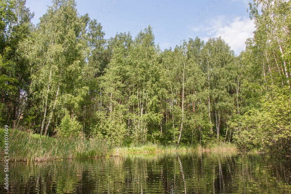 Little lake and forest in Noginsk area, Moscow region, Russia
