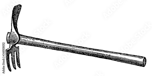 Pickfork or Canterbury Hoe, vintage illustration.