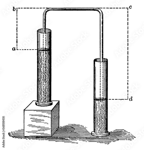 Siphon, vintage illustration. photo