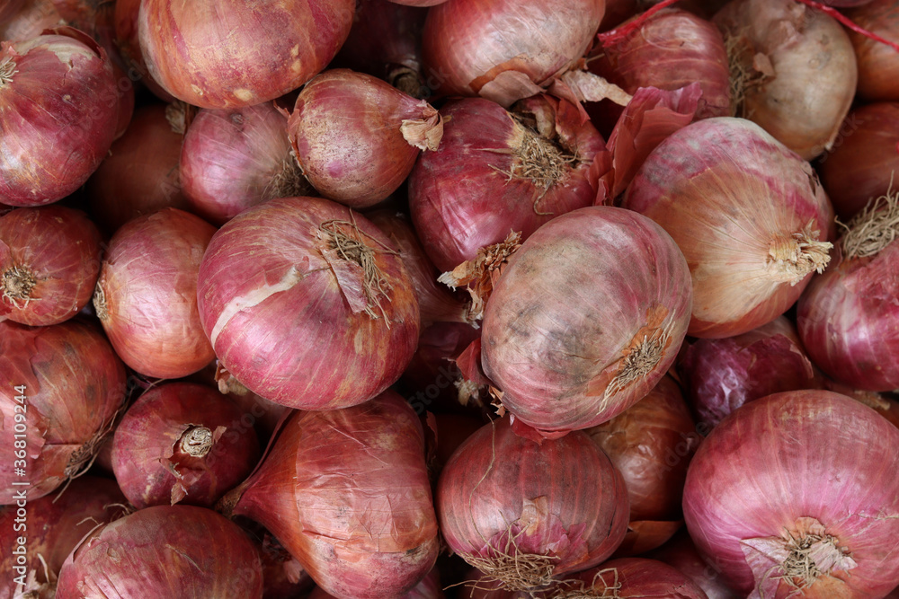 Onion Vegetable Market Food Images & Pictures 