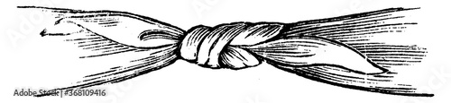 Square Knot, vintage illustration.