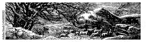 Winter, vintage illustration.