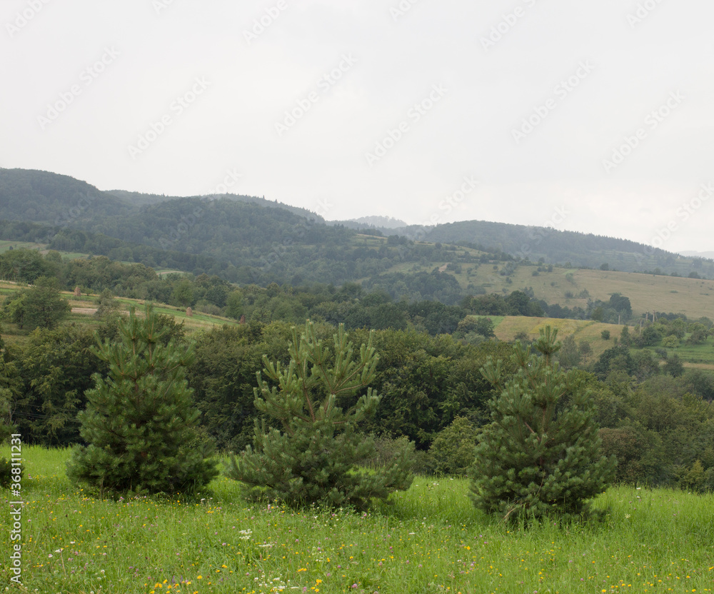 Carpathian Mountains, Western Ukraine, Ivano-Frankivsk region