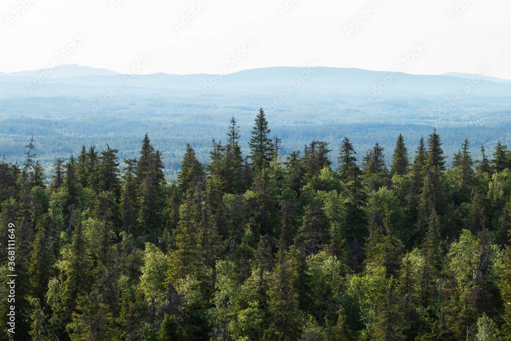 View of summery taiga forest with hills and mountains shot from Valtavaara hill near Kuusamo, Finnish nature, Northern Europe. View of summery taiga forest with hills and mountains shot from Valtavaara hill near Kuusamo, Finnish nature, Northern Europe.