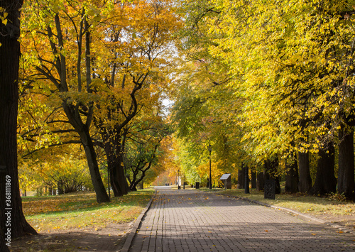 Autumn sunny day in park alley, Moscow,Russia