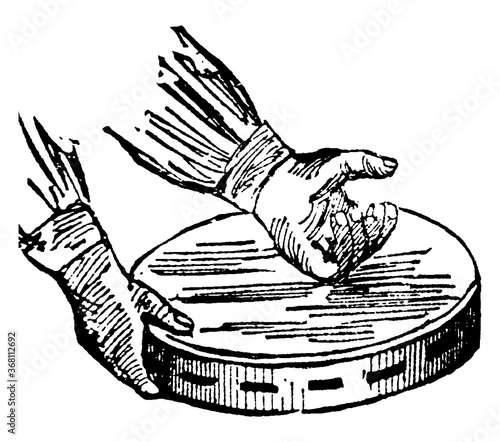 Tambourine, vintage illustration.