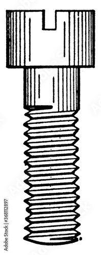 Machine Screw, vintage illustration.