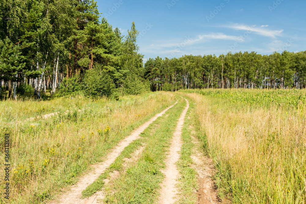 Road in field near forest, Moscow region, Russia