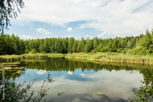 Little lake and forest in Noginsk area, Moscow region, Russia