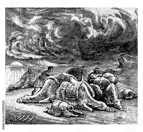 Sand storm in desert, vintage illustration.