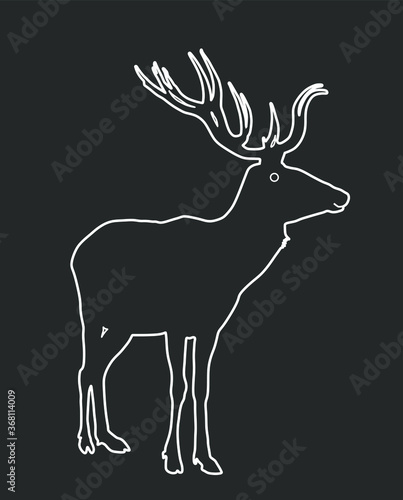Deer vector line contour illustration isolated on white background. Reindeer, proud noble deer male. Powerful buck with huge antlers standing.