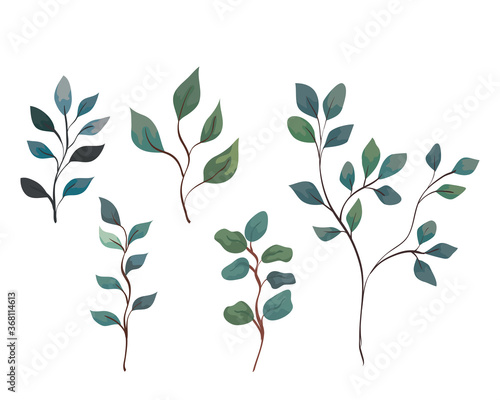 set of branches with leaves  nature decoration vector illustration design